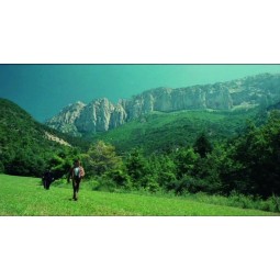 LE FRANC-TIREUR - DVD simple