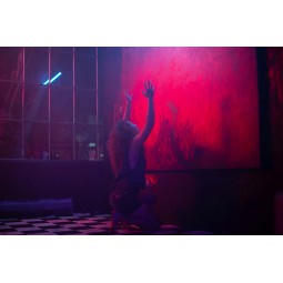 BLISS - Combo Blu-ray / DVD