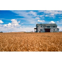 L'ENFANT MIROIR - Digipack...